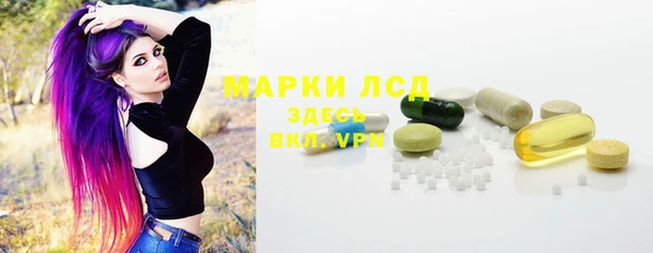 гашик Новодвинск