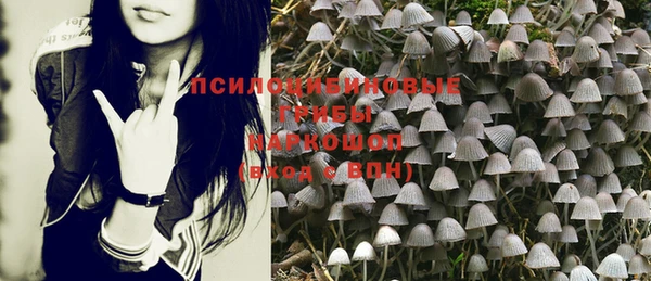 мескалин Балахна