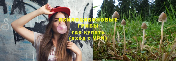 ECSTASY Баксан