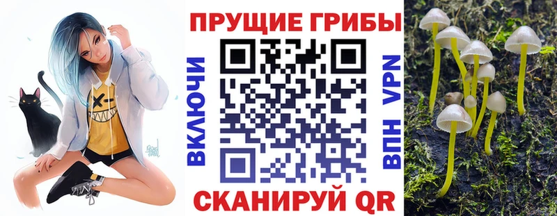 Псилоцибиновые грибы GOLDEN TEACHER  Унеча 